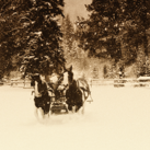 Sleigh Bells and Snowflakes