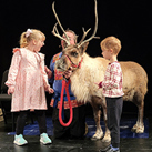 Peanut Butter & Jam: Silly Safaris - Animals of the North Pole